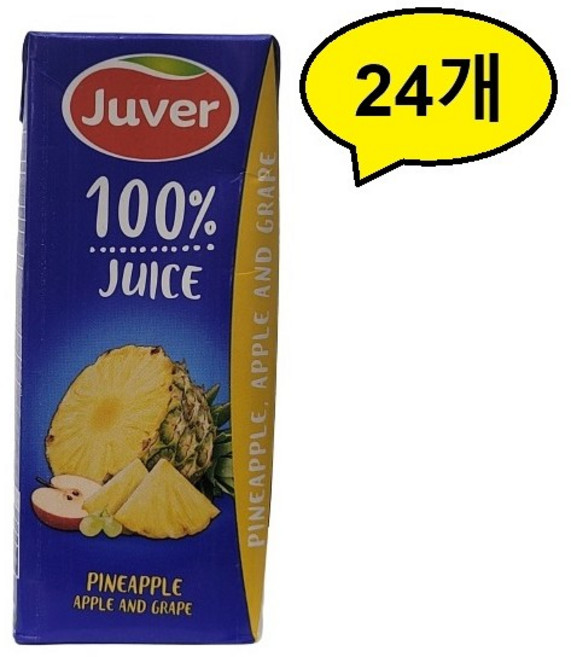 후버 파인애플 주스, 200ml, 24개