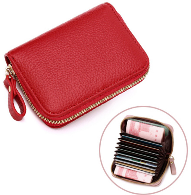 아옴 남여공용 데일리 아코디언 RFID 카드지갑