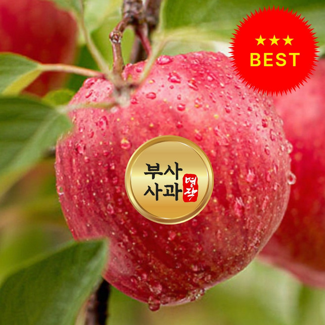 [한정특가] 국내산 사과 꿀사과 부사사과, 1개, 아삭달콤 부사사과 3kg-(중과)