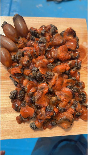 [산지직송] 경남 창원 진동 생물 참 미더덕 손질 미더덕회 200g, 2개