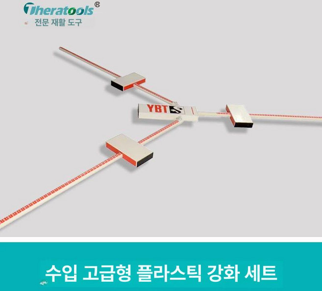 YBT Spot Y-밸런스 스크리닝 실내용 평가 평가키트 유연성 균형 기능적 기능정 능력 빨강 수납 전문, 1개, 수입고급에디션플라스틱스틸세트