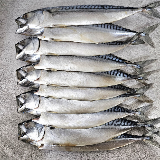 맛있는 노르웨이 자반고등어 대 10마리, 1개, 3.3~3.5KG