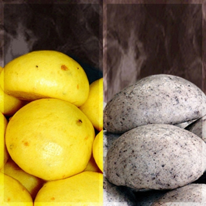 기타 안흥찐빵 단호박쌀찐빵+흑미쌀찐빵, 총 60개, 총 60개, 500g