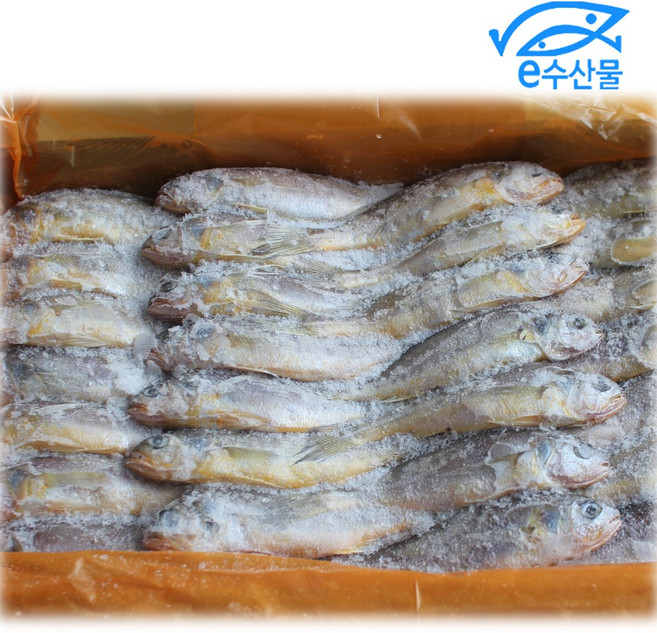 국산참조기 3.4kg 48마리 제주도 참조기 한박스 냉동조기 굴비 선물