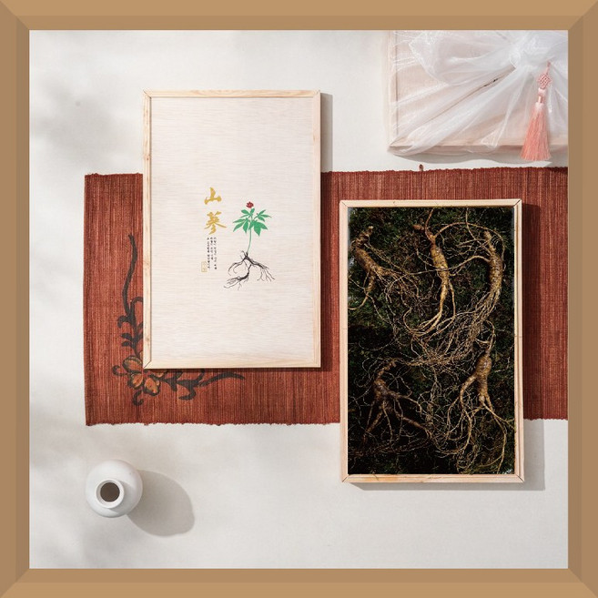 산양삼 산양산삼 산삼 장뇌삼 자연삼 수삼 생삼 백삼 명절 효도 선물세트 고품격 명품 15년근 5뿌리 (판매처-자연사랑), 5개, 100g