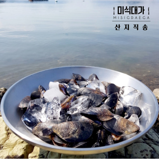 남해안 손질 홍합 홍합탕 홍합찜, 4kg, 1개, 4kg