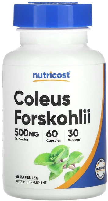 몸관리하세요 겨울입니다 Nutricost 포스콜리 500mg 캡슐 60정(캡슐 1정당 250mg) 특별관리진행, Nutricost포스콜리500mg캡슐60정캡슐1정당25, 1개 - 쿠팡