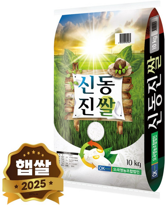 현대농산 신동진쌀 단일품종, 1개, 10kg, 상등급