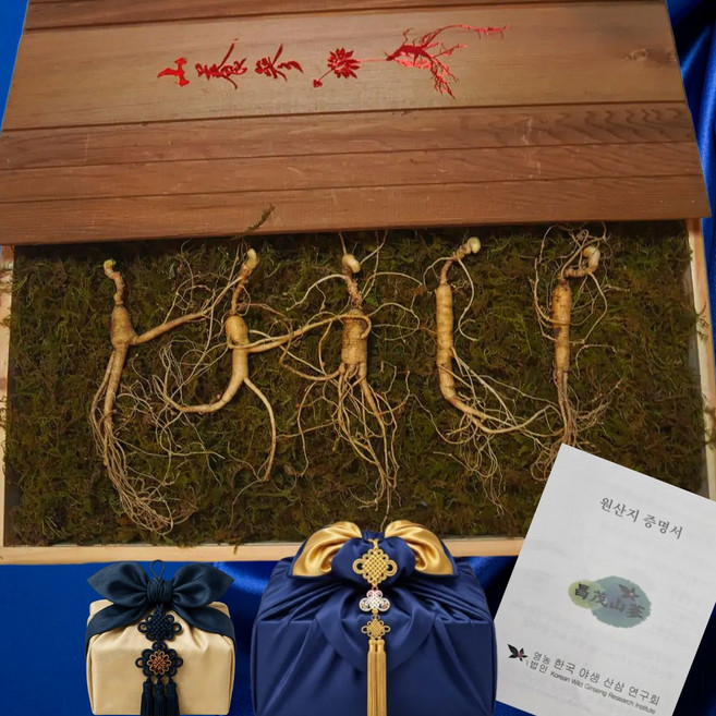 창무 강원도 횡성 야생 방치삼 자연산 산양삼 10년~20년 산삼, 10개, 20g