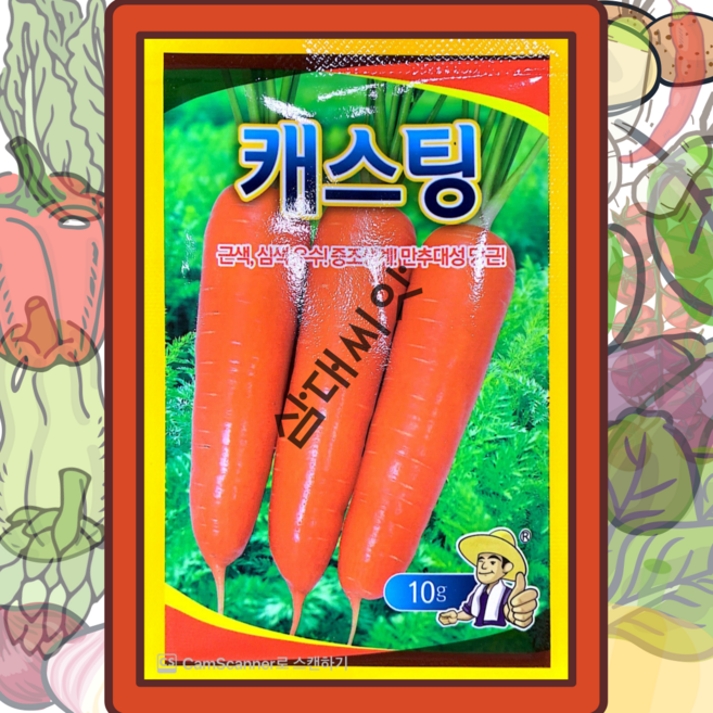 당근씨앗 최고급당근씨앗 사카타코리아당근씨앗 캐스팅 10g 봄~여름파종용, 1개