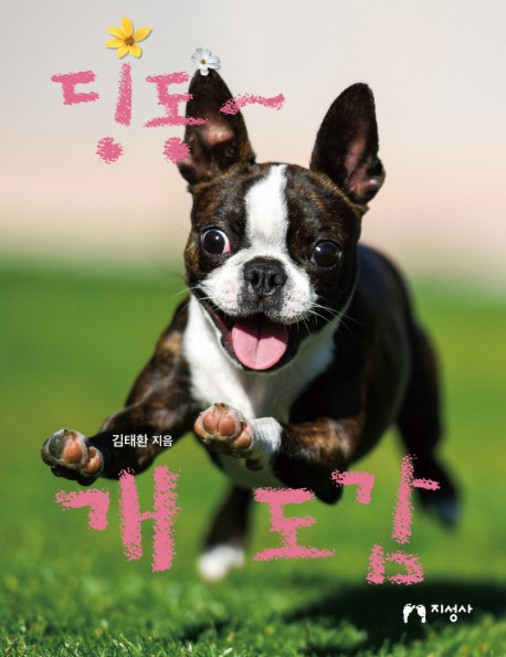 딩동~ 개 도감:, 지성사, 없음null