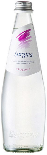 수르지바 스파클링 워터, 500ml, 20개