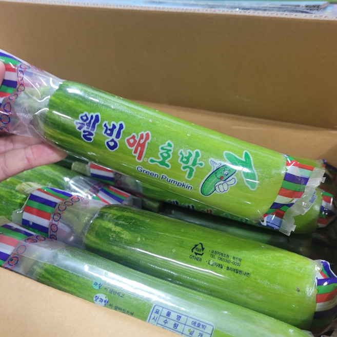 삼촌픽 애호박 국내산 신선애호박 요리용 채소 특품 5개, 1, 단품