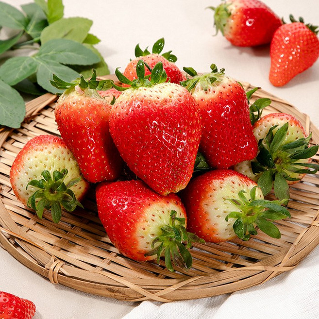 대왕 딸기 킹스베리 400g 2배 크고 2배 달콤한 킹스베리 딸기, 400g 특(10-13과), 1