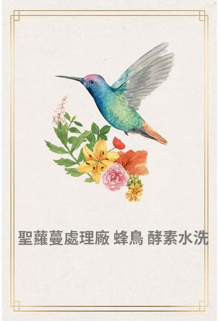 哥斯大黎加 聖蘿蔓處理廠 蜂鳥 酵素水洗咖啡生豆, 1個