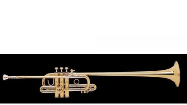 Bach 트롬본 래커 (B185S), Bach 트롬본, 래커 (B185S), 1개