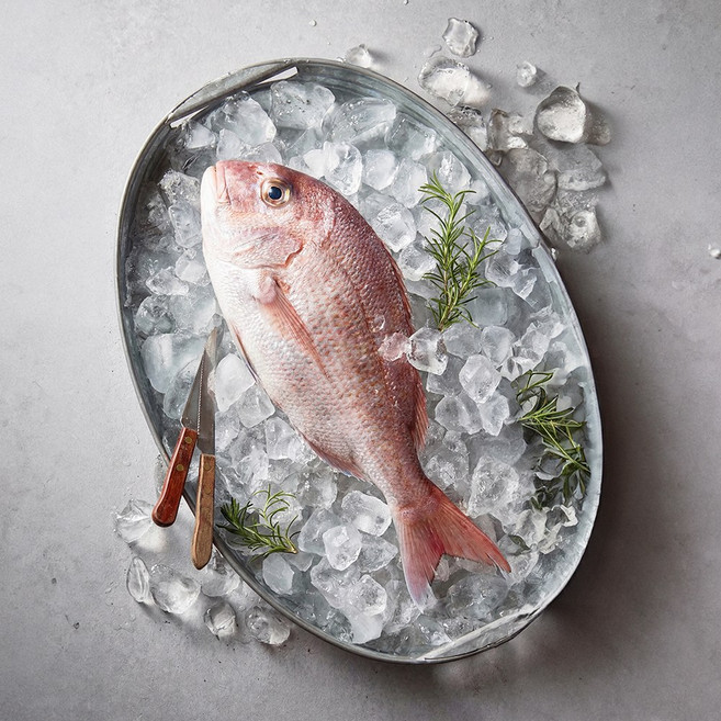 100%국내산 냉동 두절 손질 참돔, 1개, 200~250g