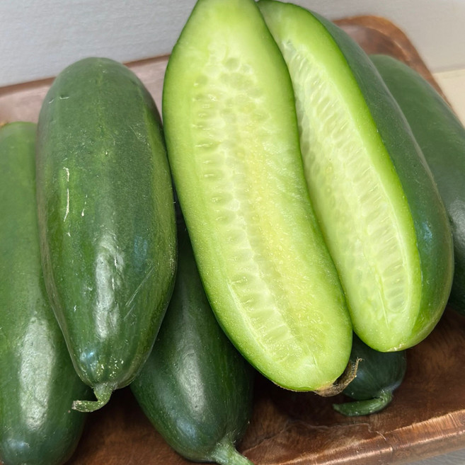 국내산 스낵 미니오이 5kg 100개내외, 1