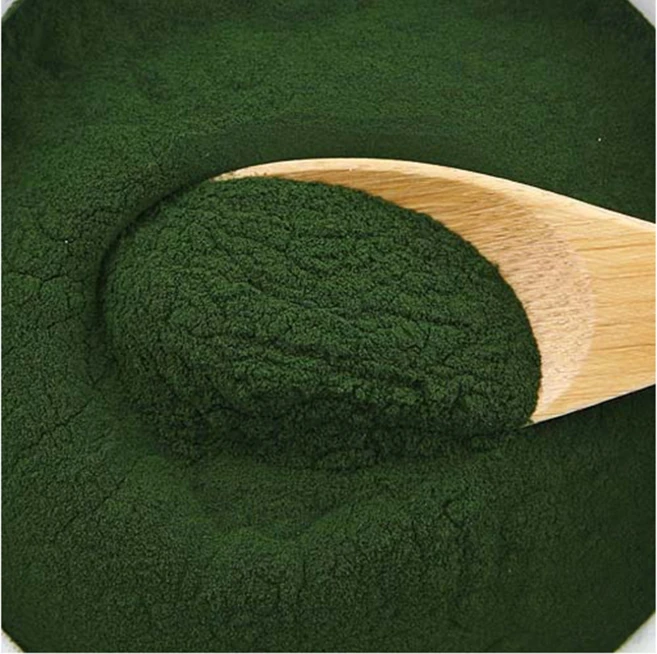 [더위치]클로렐라분말 믹스 50g, 1개 - 쿠팡