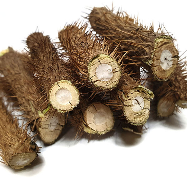 제천약초 푸리아 국내산 가시오가피 500g, 2개