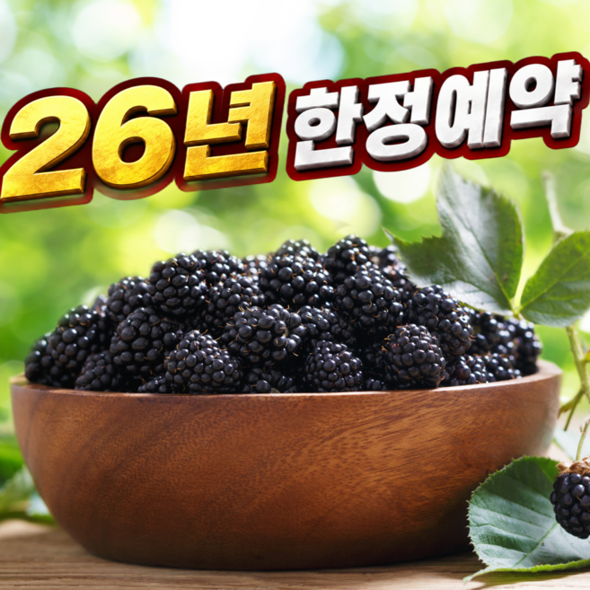 [100박스한정예약] 26년햇열매 복분자 생과 급냉, 1박스, 1kg