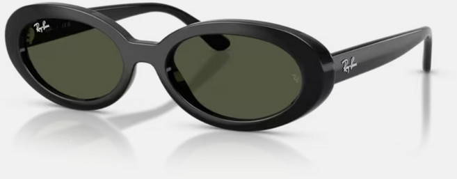 Ray-Ban 雷朋 RB2223F 橢圓膠框太陽眼鏡