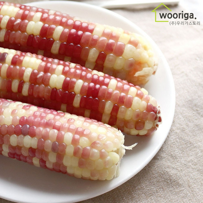 우리가스토리 탱글탱글 홍찰 냉동 삶은 찰옥수수 36개(12~14cm내외), 1박스