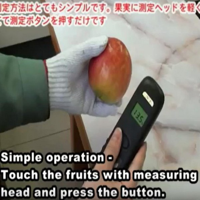 비파괴당도계/비파괴당도측정기/N-1사과배