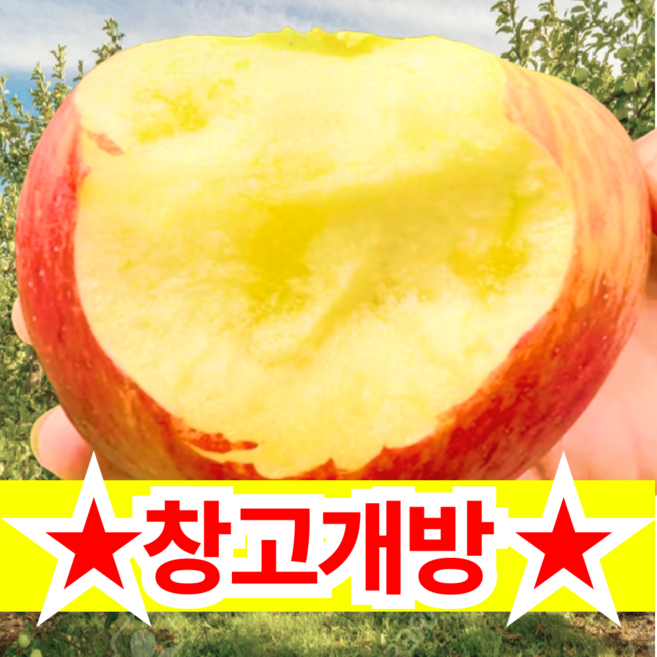 [비밀창고 개방] 선착순100명특가 사과창고개방 꿀사과 부사 초특가중, 1박스, 5kg