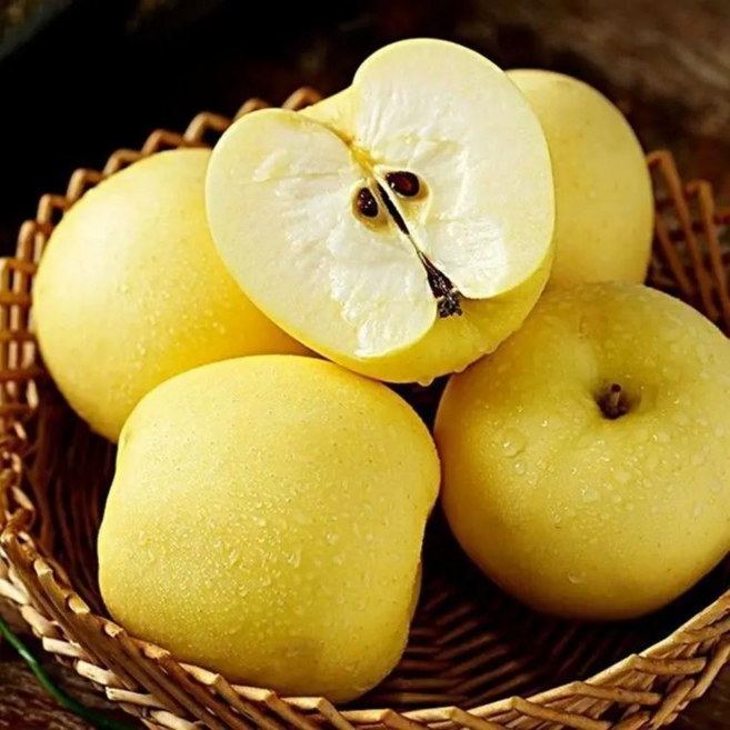 [농민특가]초도입고 농가선택 기분좋은한입 가정용 시나노골드사과, 1박스, 2kg