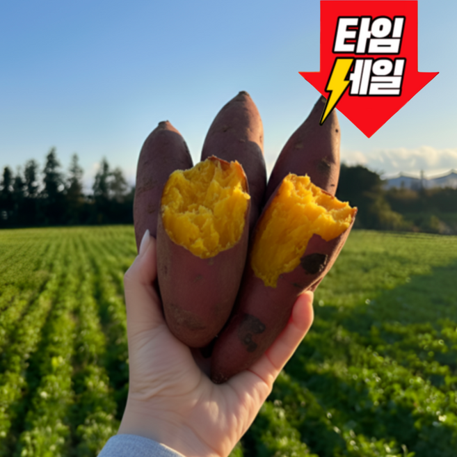 [해남직송] 재구매폭주 초고당도Brix 엄격선별 호박고구마, 1개, [대] 3kg