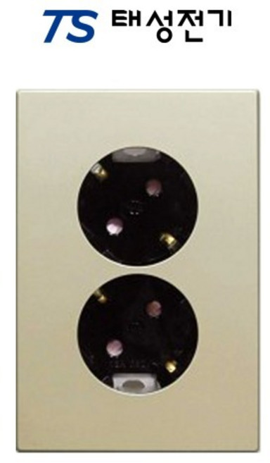 태성전기 틸인스 샴페인골드 2구 콘센트(45도)