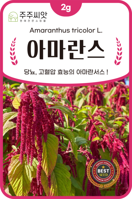 [주주씨앗] 아마란스 씨앗 2g(3000립) / 당뇨 고혈압 효능 아마란서스 씨앗 / 봄 파종 민속채소 씨앗몰, 1개