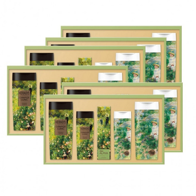 애경 샴푸 바디워시 셀렉션11호 6세트 치약 리미티드, 1박스