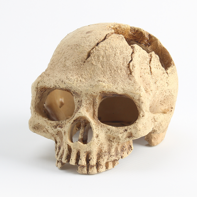 해골 장식 은신처 도마뱀 게코 파충류 사육장 테라리움 장식품, 본, 1개