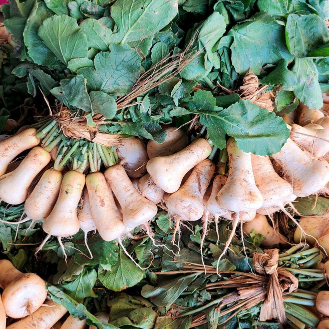 빠리농산 맛있는 황토 알타리무 10kg, 1박스