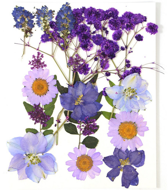 한현 DIY 대용량 압화 책갈피 만들기 종합팩 꽃모음 1장 20꽃, 1세트, HX16