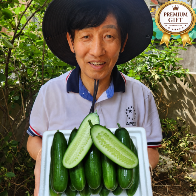 [상위1%] 산지 직송 아삭한 스낵 꼬마 미니오이, 1박스, 1KG