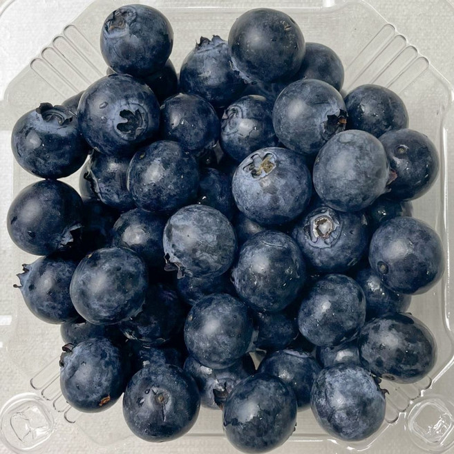 국내산 블루베리 중과 100g 10팩 [BZY71415], 10개