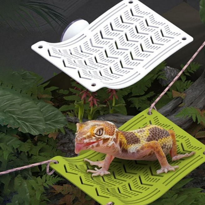 파충류 해먹 게코용 도마뱀 사육장 파충류 침대 소형 카멜레온 도마뱀용 은신처 부착 밀림 유리, 소형화이트