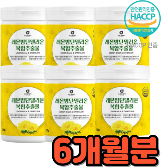 프랑스 민들레 레몬밤 단델리온 가루, 6박스