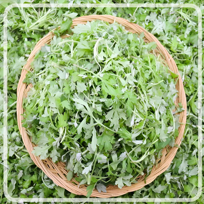 [봄나물종류] 거문도 함평 생쑥 봄나물 산지직동 당일수확, 1개, 400g