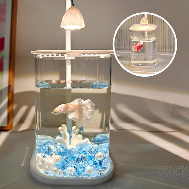 구피 베타 물고기 키우기 미니 소형 작은 수족관 어항, 1개, 화이트(옵션1)