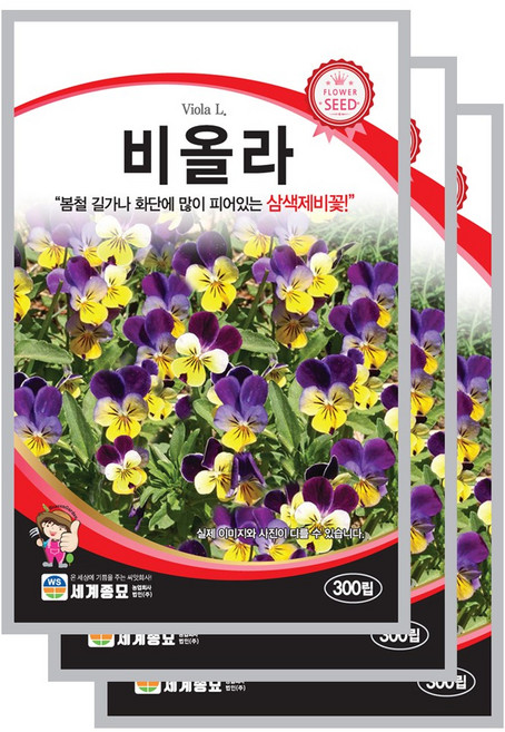 비올라 씨앗 꽃씨 300립 꽃씨앗 세계종묘 모칸도, 3개