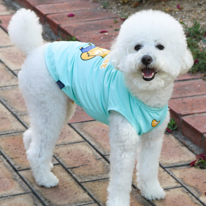 모즈펫 반려동물 여름옷 쿨조끼 아이스쿨티 냉감 외출 자외선차단, 스카이, 1개