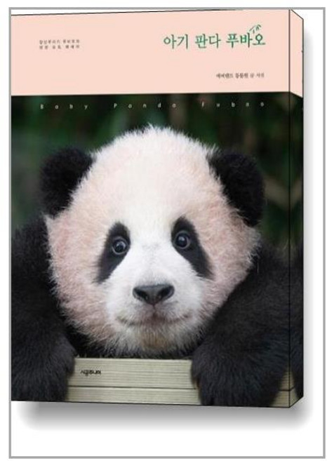 아기 판다 푸바오 시공주니어/에버랜드 동물원 (사은품) (완충재포장), 아기 판다 푸바오 (사은품)