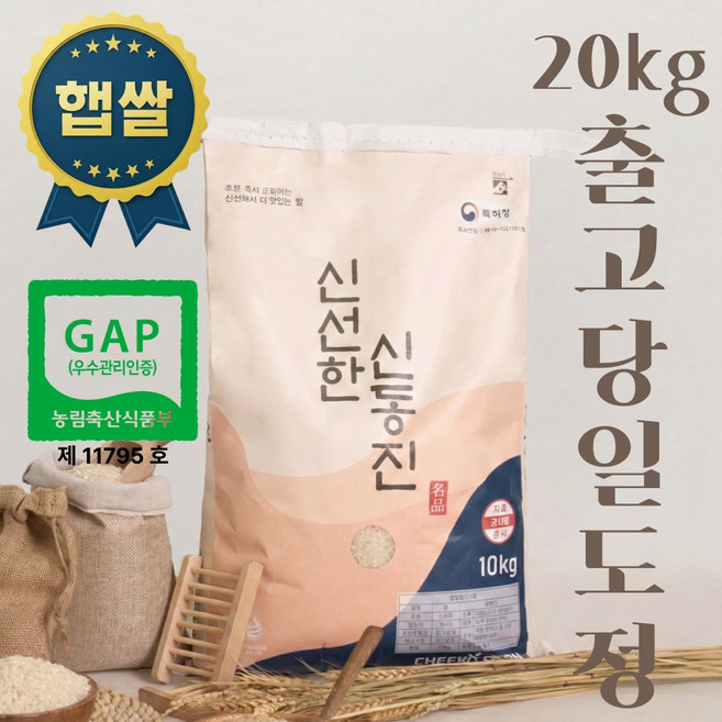 당일도정 오늘도정 즉시배송 GAP인증 신선한 신동진 20kg 단일품종 25년 햅쌀, 1개, 상등급