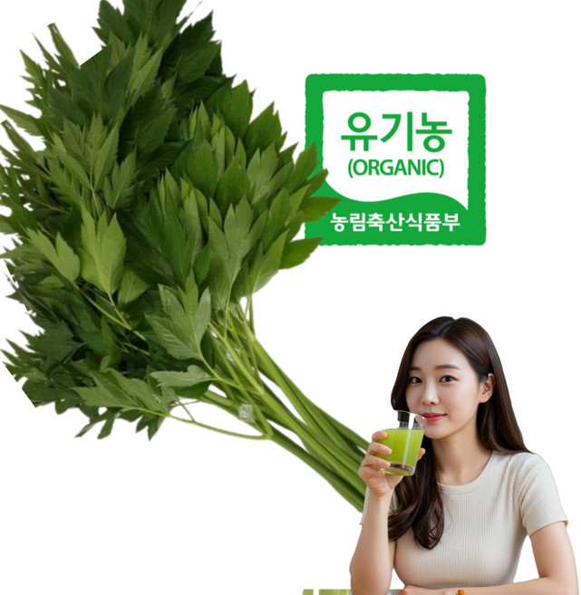 유기농 신선초 (무농약+무화학비료) 친환경 유기농만 고집 당일수확 주스 녹즙용, 1kg, 1개