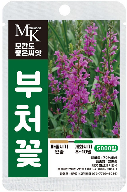 모칸도 좋은씨앗 부처꽃 씨앗 5000립 일반종 꽃씨 꽃씨앗, 1개