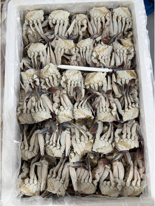 절단 꽃게 L 10kg 국산 샤브샤브 무침용, 1박스